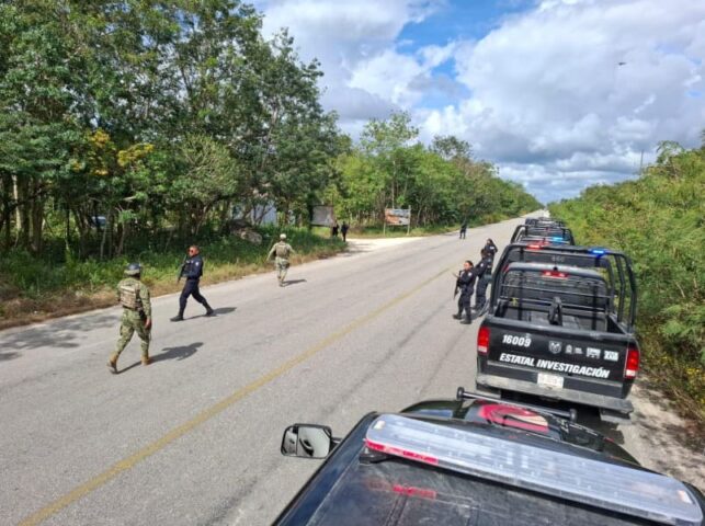 We’re watching you watch us: Tulum authorities dismantle more than a dozen cameras installed by criminal group