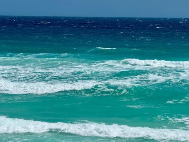 American diver lost at sea off Cozumel remains missing