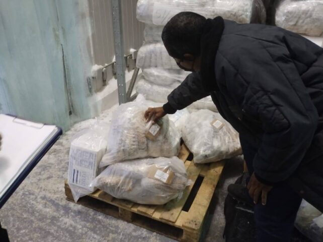 Federal inspectors seize over 20,000 kilos of illegal fish products from Cancun establishment