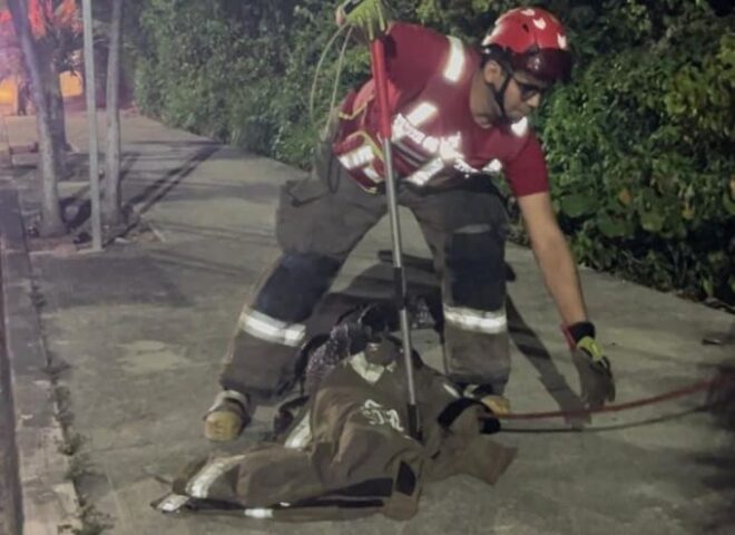 Cancun firemen relocate wandering croc from residential sidewalk