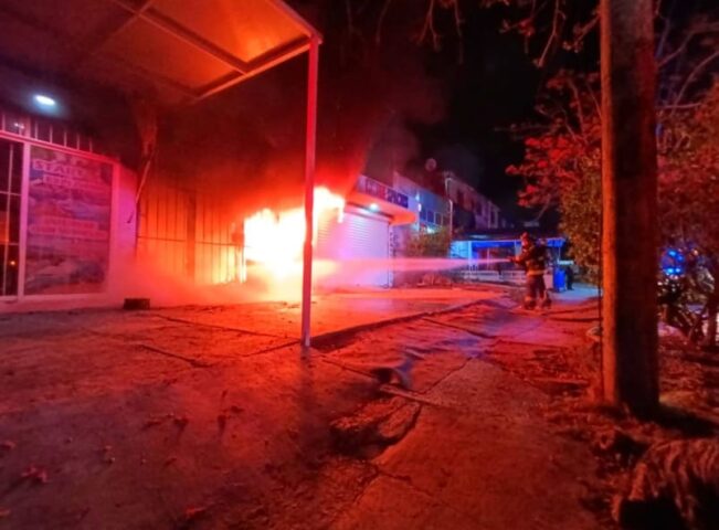 Cancun firemen save surrounding businesses after garden shop goes up in flames