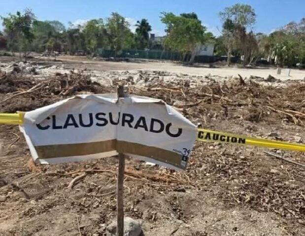 Government of Quintana Roo opens official investigation into PDC real estate developer for injuries to wildlife