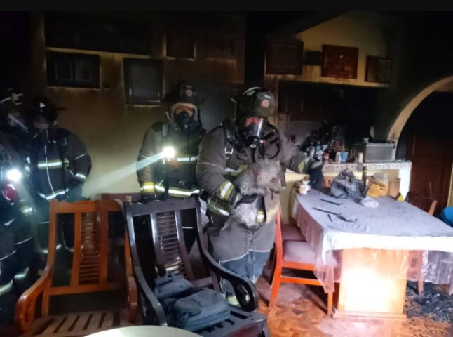 Firemen rescue dog suffering smoke inhalation from burning home