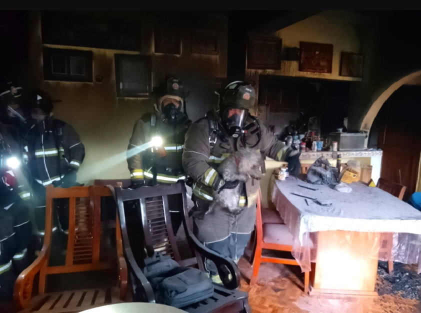 Firemen rescue dog suffering smoke inhalation from burning home