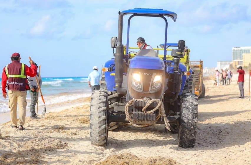 Cancun's strategy keeps beaches clear of sargassum while other Caribbean destinations struggle says mayor