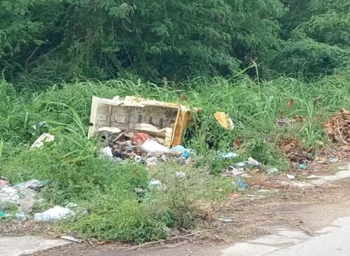 Chetumal city surveillance used to find people who litter