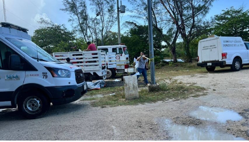 Maintenance worker falls to his death from Costa Maya utility pole