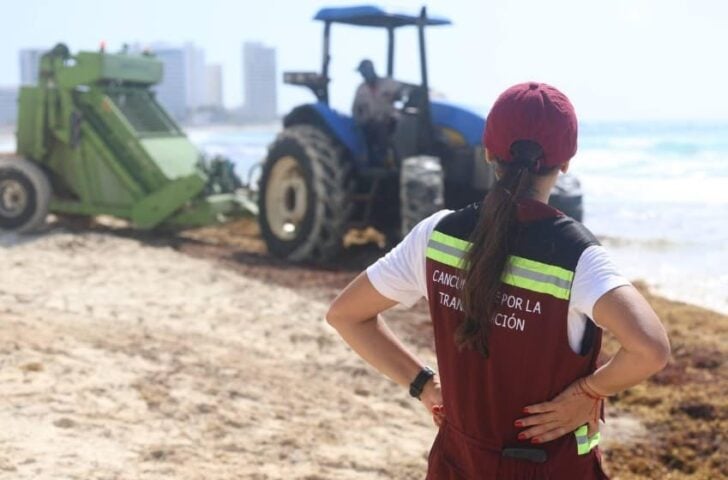 City to release geolocation stamped photos to curb Cancun sargassum misinformation
