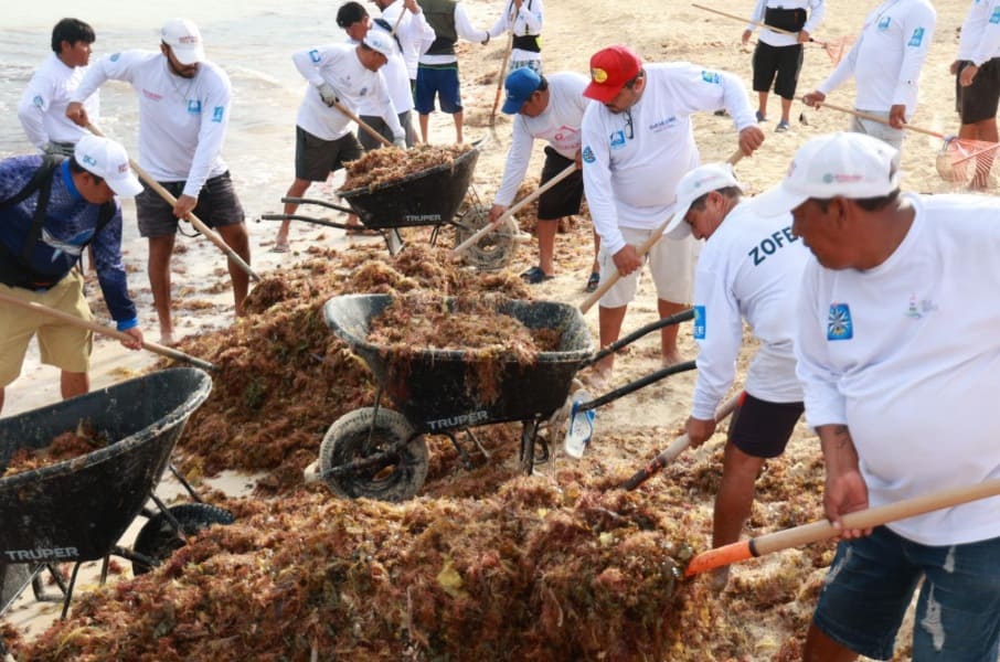 First landfall of the season: Islanders remove 32 tons from picturesque Playa Norte