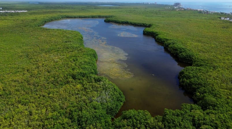 Inner-city lagoon once used as rubble dump now a protected natural area