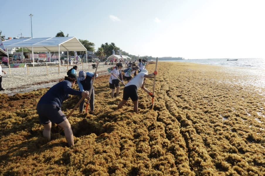 More hands on the way: Navy agrees to send additional 200 personnel to combat sargassum