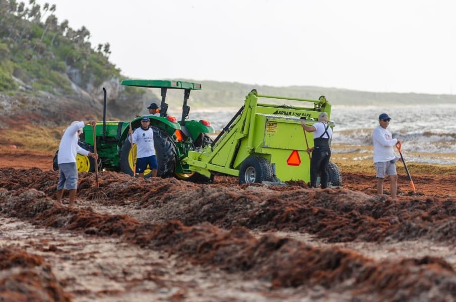 Tulum brings out the heavy machinery to keep up with recent mass landing of sargassum