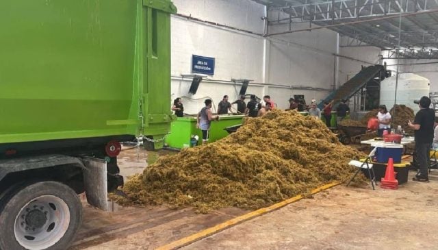 Government moving forward with state's first sargassum transformation centre