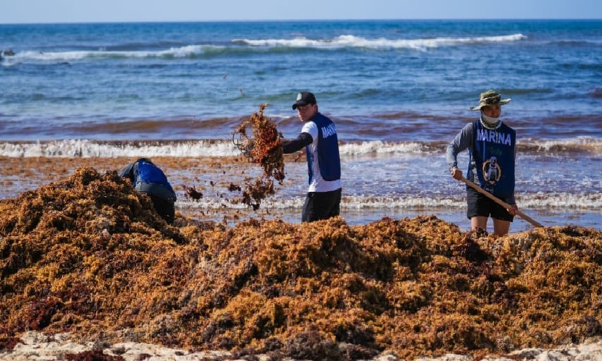 Islanders clear 40 tons from Cozumel beach in massive two day cleanup