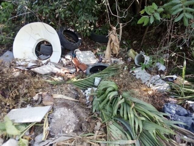 City identifies more than 150 microdumps around Playa del Carmen