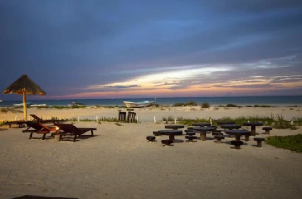 Holbox police find islander shot dead near beach in targeted attack