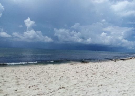Meteorologists say Sahara dust and cool waters responsible for quiet Atlantic hurricane season