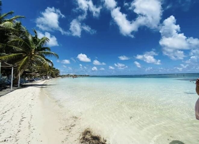 Developer submits for approval to build massive 24 hotel real estate project outside Mahahual