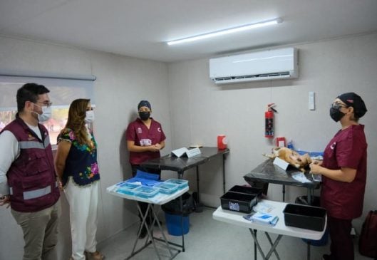 Veterinarians offer services in hard to reach places through the state's first Animal Welfare Caravan