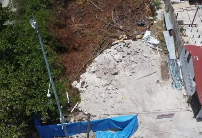 Inspectors close illegal mangrove filling in Puerto Morelos