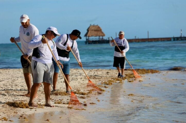 Hotel Association reports 'very few' sargassum-related cancellations
