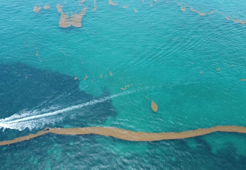 Quintana Roo gets a much needed Sargassum breather with significantly lessened incoming