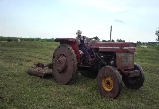 Federal officials form permanent working group to counteract Quintana Roo's "Mennonite Footprint"