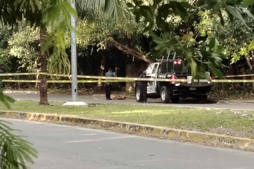 Chetumal authorities investigating discovery of two bodies