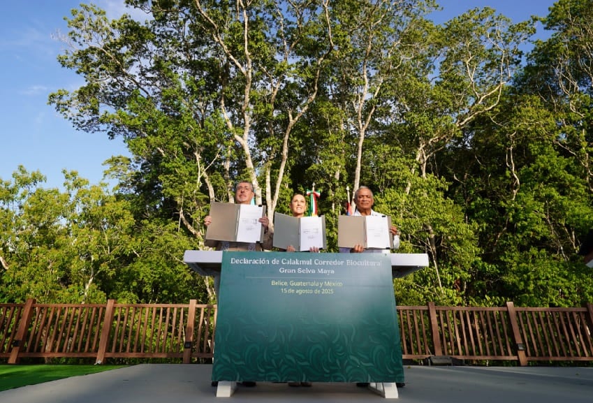 riviera-maya-news.com