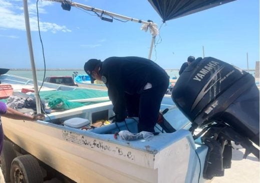 Federal fishery inspectors seize more than 4,200 tons of illegally caught marine products from Mexican waters