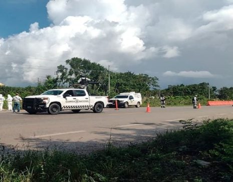 Bodies believed to be of local cartel members found decomposing off Felipe Carrillo Puerto road
