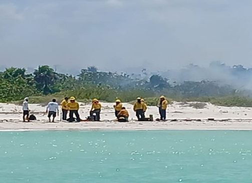 Brigade from National Forest Commission work to put out Holbox forestfire