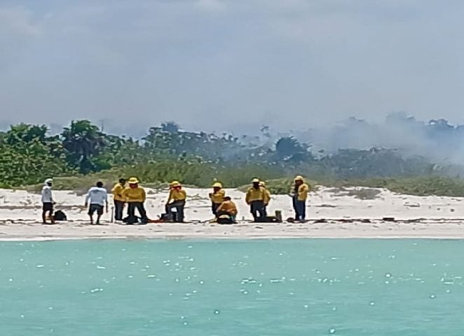 Brigade from National Forest Commission work to put out Holbox forestfire