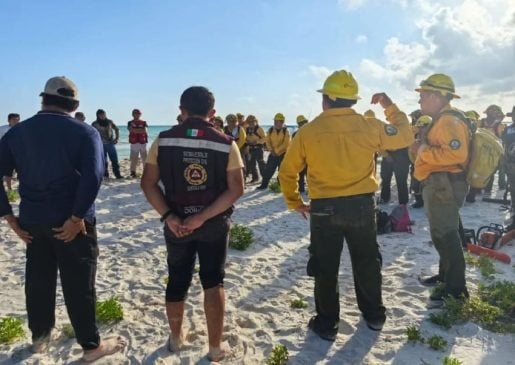 More than 80 forest firefighters battling 150 hectare blaze on Holbox island
