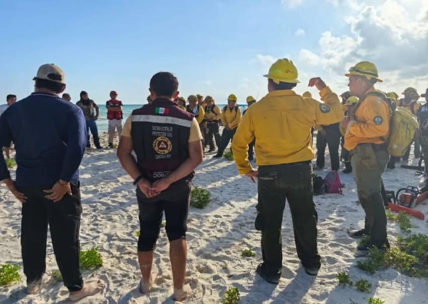 More than 80 forest firefighters battling 150 hectare blaze on Holbox island