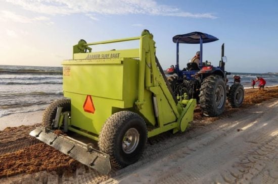 Sargassum being categorized as a fishing resource opens new doors says Riviera Maya Hotel Association
