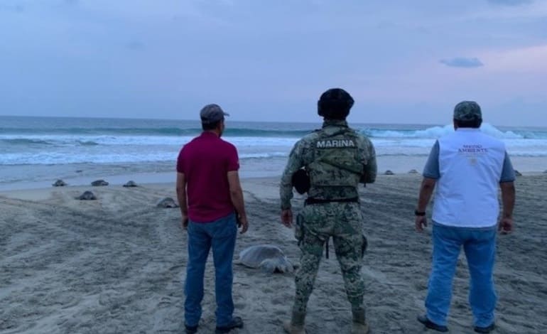 Environmental officers bury more than 5,700 sea turtle eggs left behind by poachers