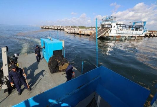 Marina intercepts 400 tons of incoming sargassum off Puerto Morelos-Riviera Maya coast