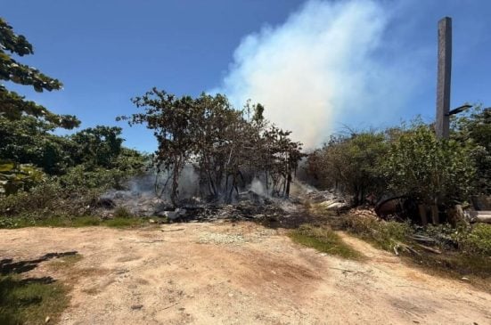 Extreme temperatures and lack of rain likely cause of Tulum vegetation fire