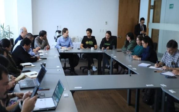 Government environmental sector meets with Greenpeace Mexico to discuss Yucatan Peninsula