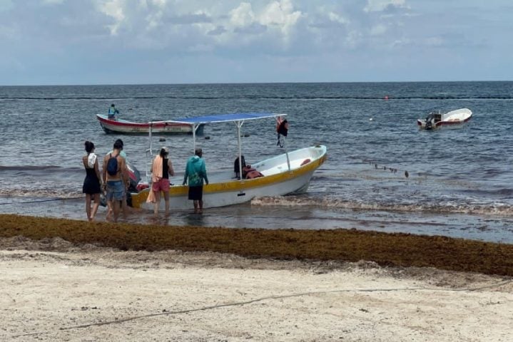 Winds help push incoming sargassum onto Tulum beaches