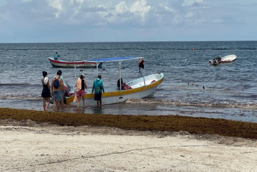 Winds help push incoming sargassum onto Tulum beaches