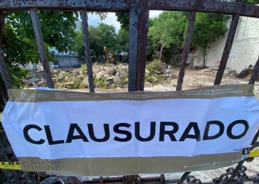 Inspectors close illegal tree felling on central PDC property