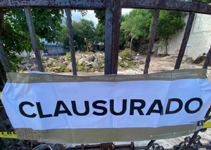 Inspectors close illegal tree felling on central PDC property