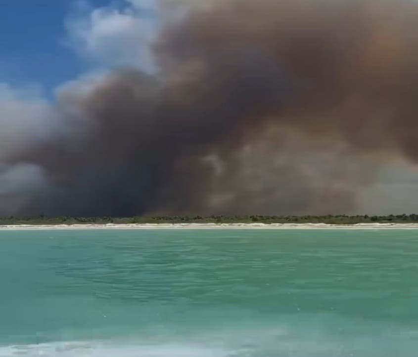 Over 400 hectares scorched in weeklong Holbox wildfire