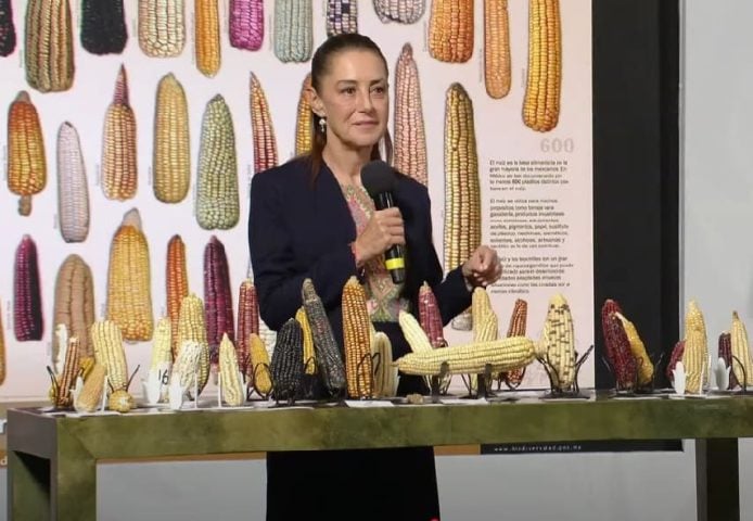 Government to launch national program to increase native corn production