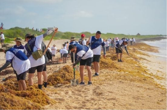 Over 55 tons of sargassum cleared from island's Playa Chumul