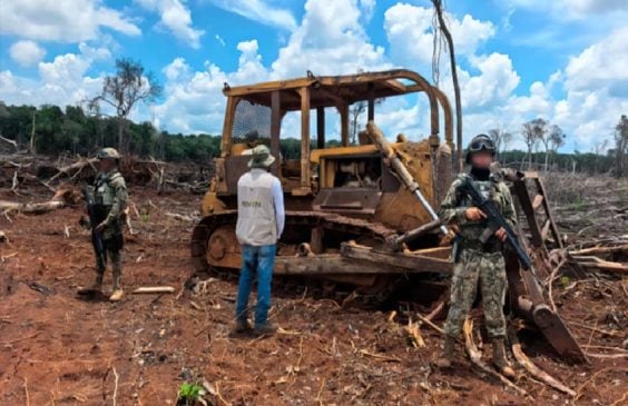 Quintana Roo most affected state: Feds close properties illegally cleared by Mennonite communities