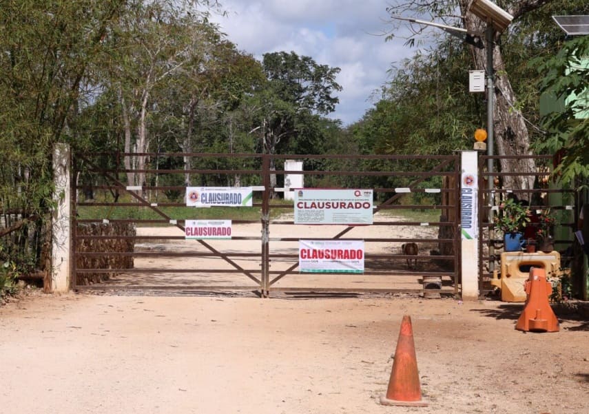 Officials close eight Puerto Morelos real estate projects for irregularities