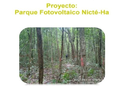 Developer applies for change of land use for Nicté-Ha Photovoltaic Park project